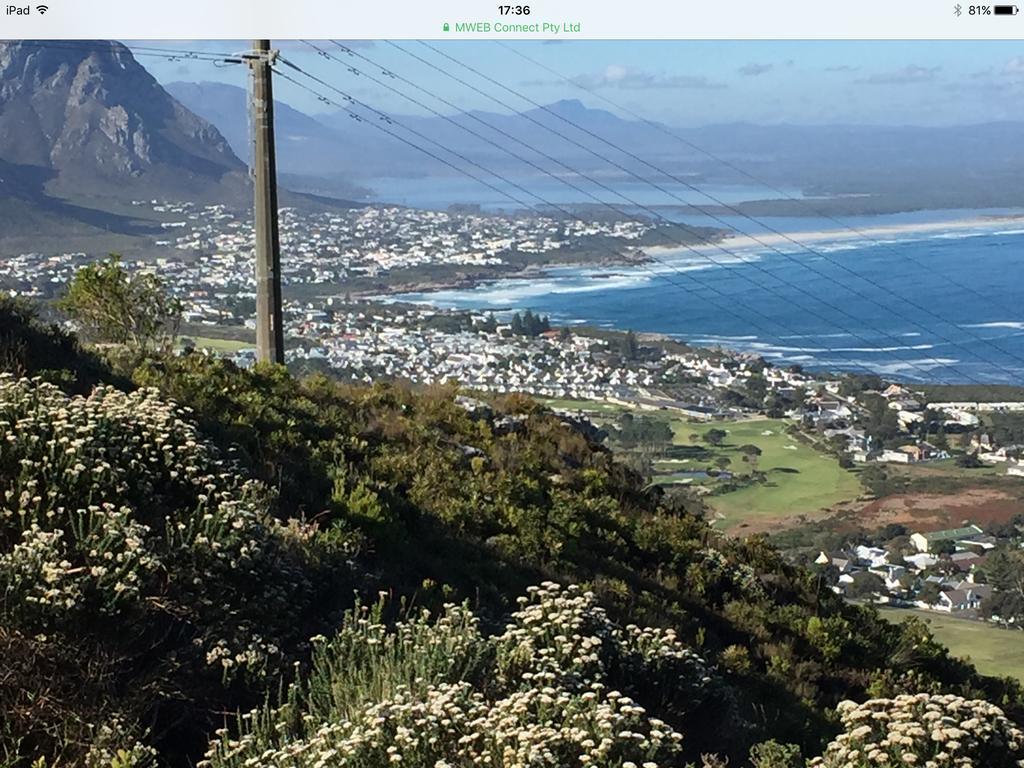 77 On 7Th Street Apartment Hermanus Bagian luar foto